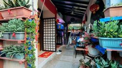 Thomson Garden Estate (D20), Semi-Detached #625054611